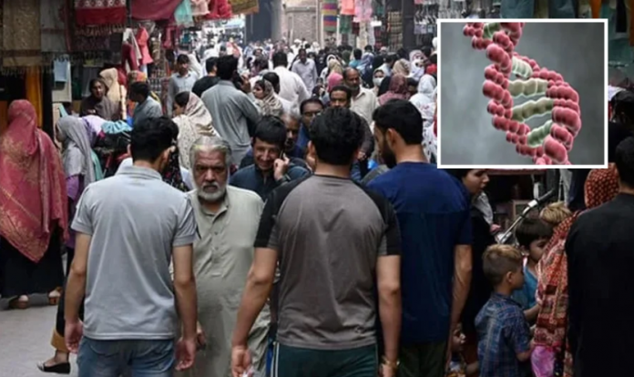 تحقیق