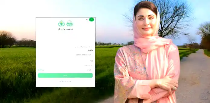 کھیت